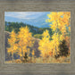 Aspen Ridge Plein Air