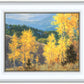 Aspen Ridge Plein Air