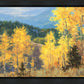 Aspen Ridge Plein Air