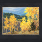 Aspen Ridge Plein Air