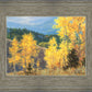 Aspen Ridge Plein Air