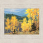 Aspen Ridge Plein Air