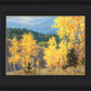 Aspen Ridge Plein Air