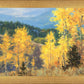 Aspen Ridge Plein Air