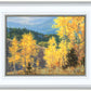 Aspen Ridge Plein Air
