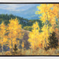 Aspen Ridge Plein Air