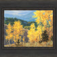 Aspen Ridge Plein Air