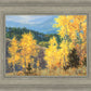 Aspen Ridge Plein Air