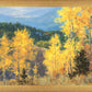 Aspen Ridge Plein Air