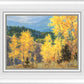 Aspen Ridge Plein Air
