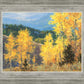 Aspen Ridge Plein Air