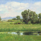 Poplar Springs