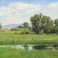 Poplar Springs