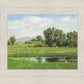 Poplar Springs