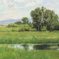 Poplar Springs