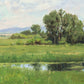 Poplar Springs