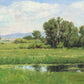 Poplar Springs