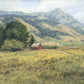 Red Barn in The Wilderness