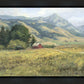 Red Barn in The Wilderness