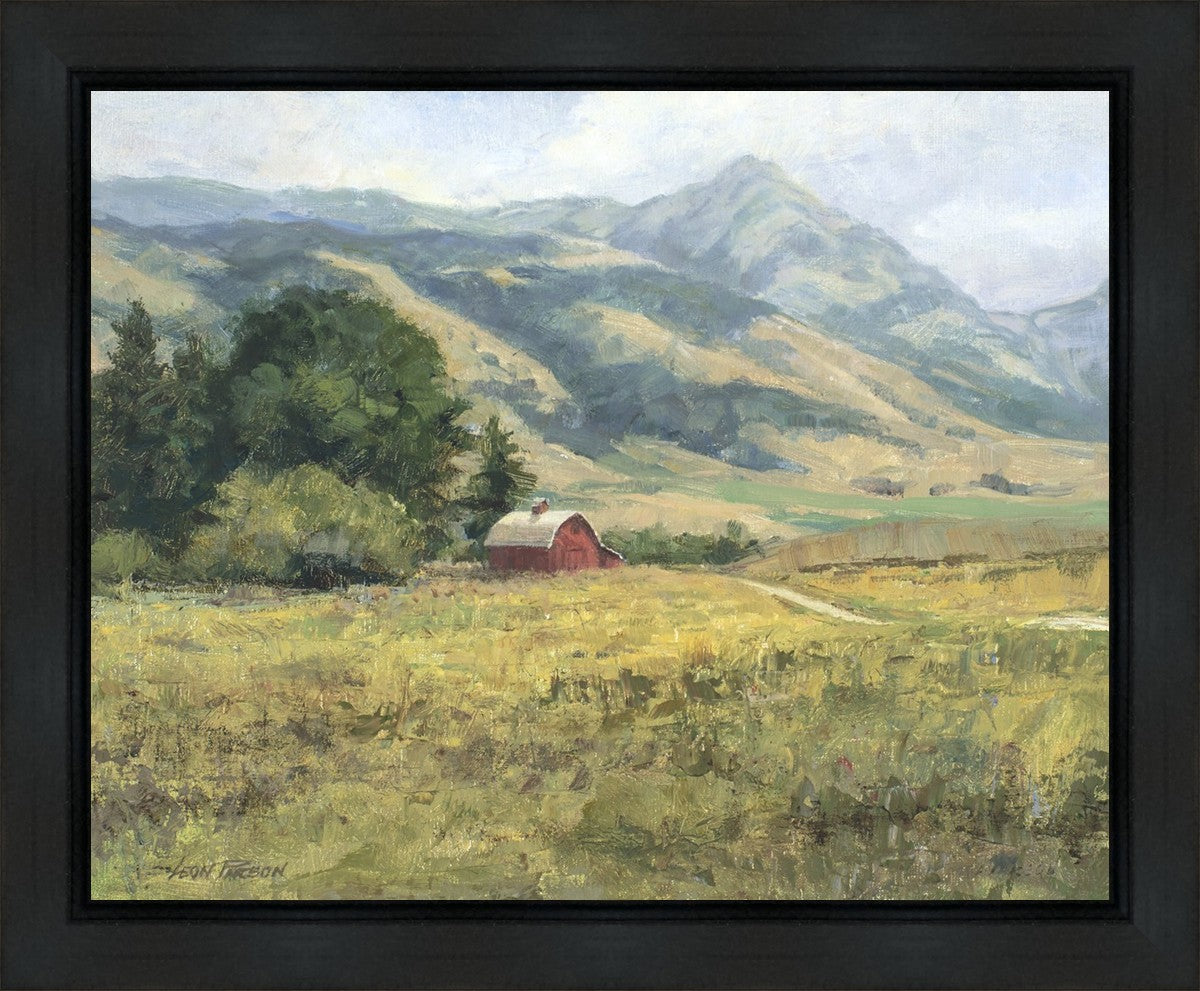 Red Barn in The Wilderness