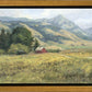 Red Barn in The Wilderness