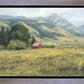 Red Barn in The Wilderness