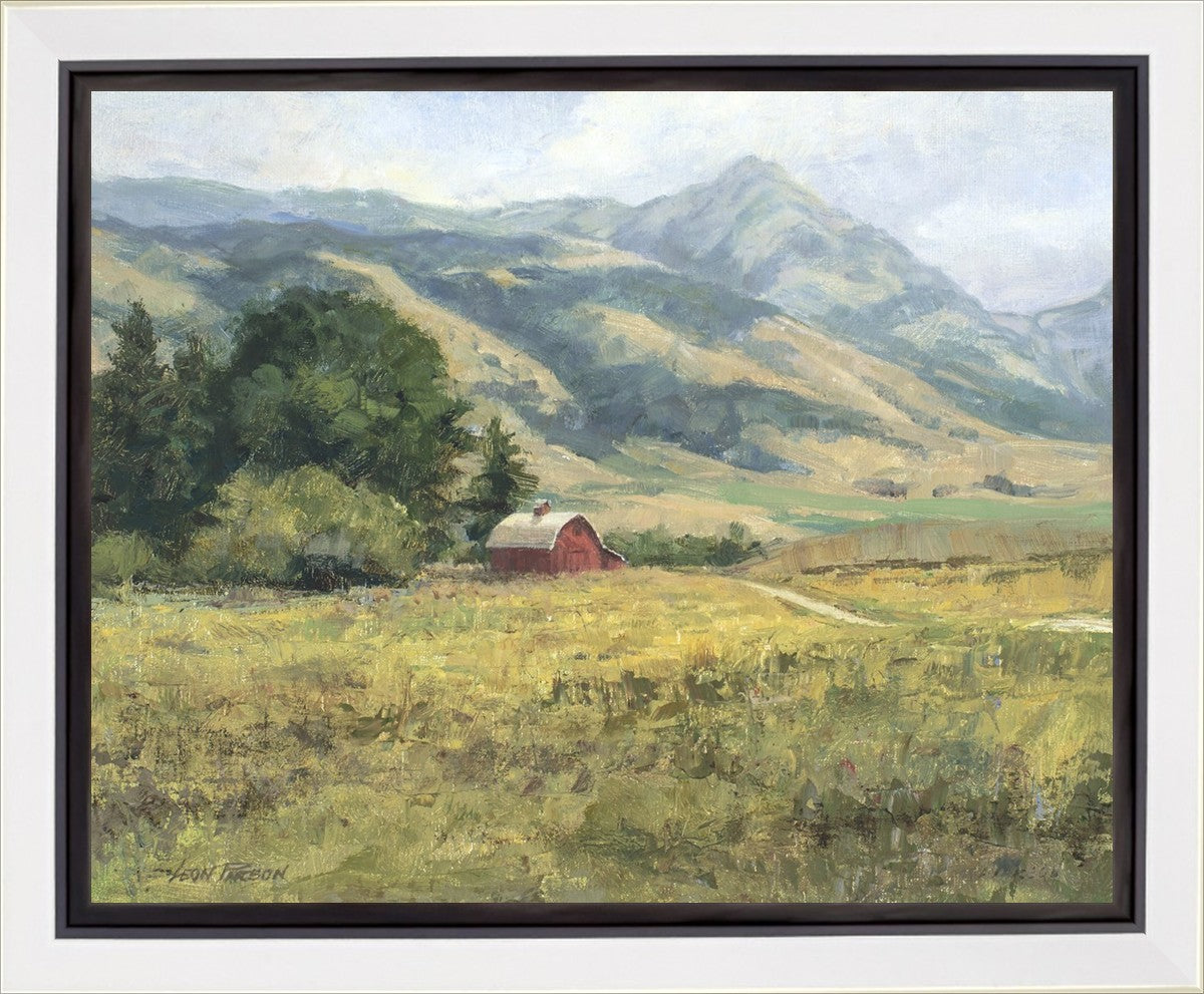 Red Barn in The Wilderness