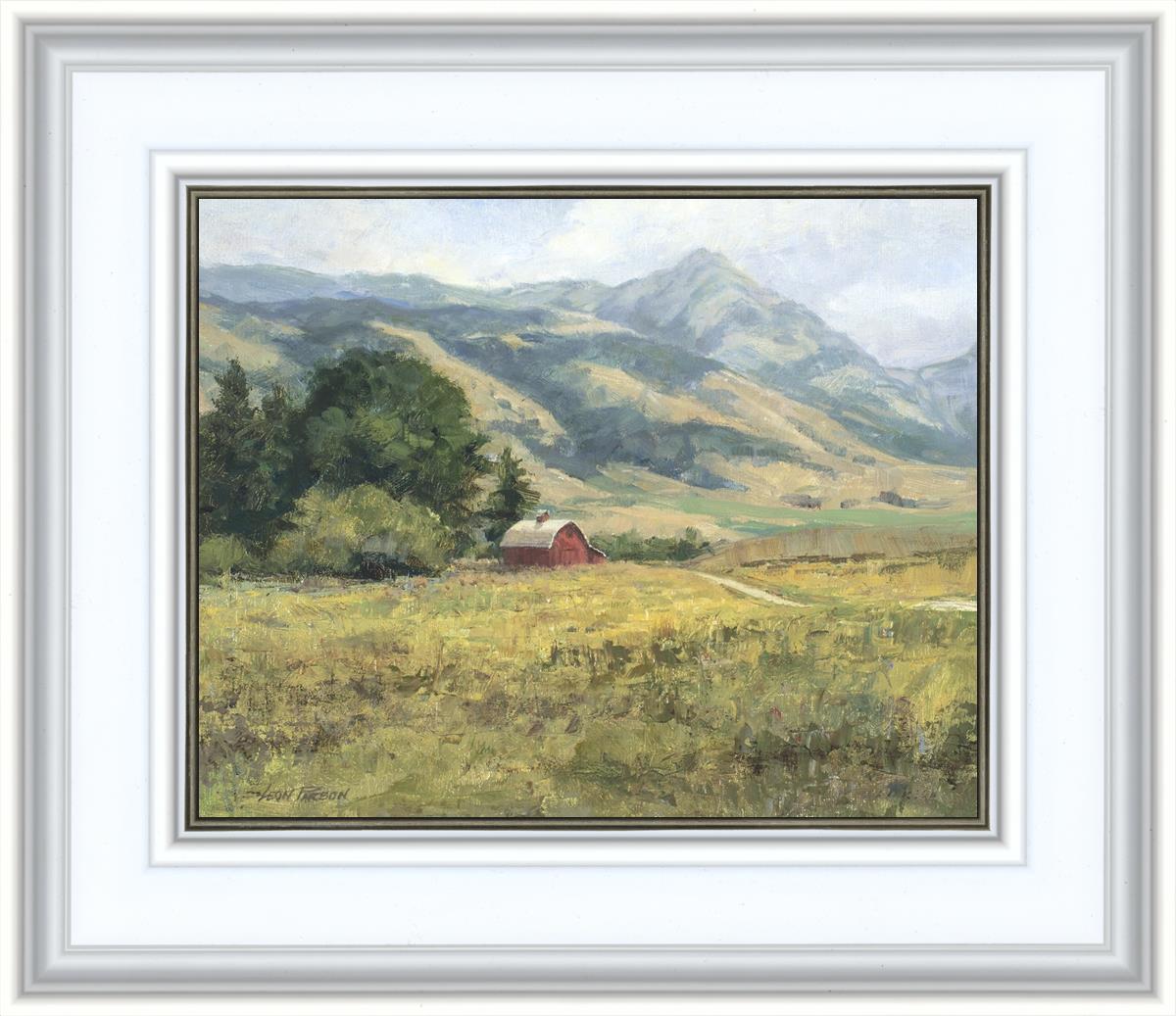 Red Barn in The Wilderness