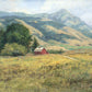 Red Barn in The Wilderness