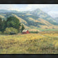 Red Barn in The Wilderness