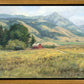 Red Barn in The Wilderness
