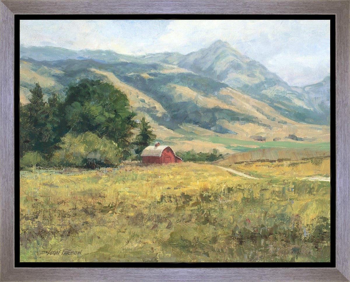 Red Barn in The Wilderness