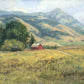 Red Barn in The Wilderness