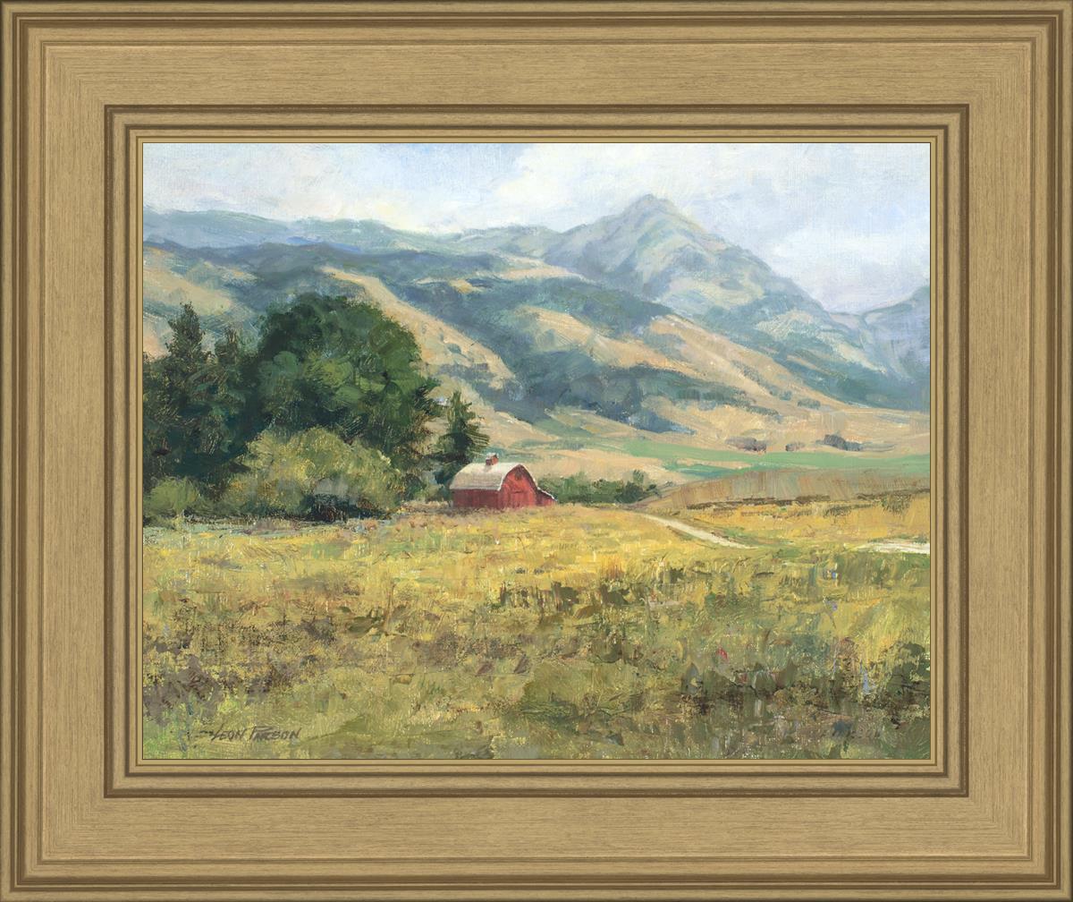 Red Barn in The Wilderness