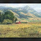 Red Barn in The Wilderness