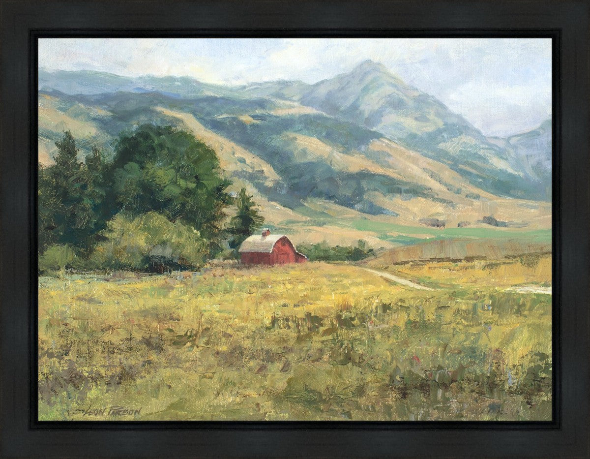 Red Barn in The Wilderness