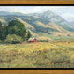 Red Barn in The Wilderness