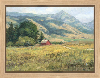 Red Barn in The Wilderness