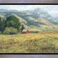 Red Barn in The Wilderness