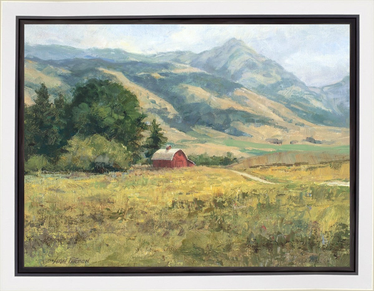 Red Barn in The Wilderness