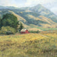 Red Barn in The Wilderness