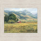 Red Barn in The Wilderness