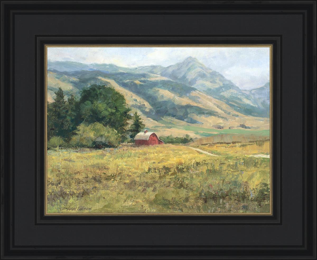 Red Barn in The Wilderness