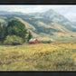 Red Barn in The Wilderness