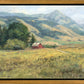Red Barn in The Wilderness