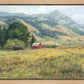 Red Barn in The Wilderness
