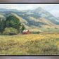 Red Barn in The Wilderness