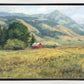 Red Barn in The Wilderness