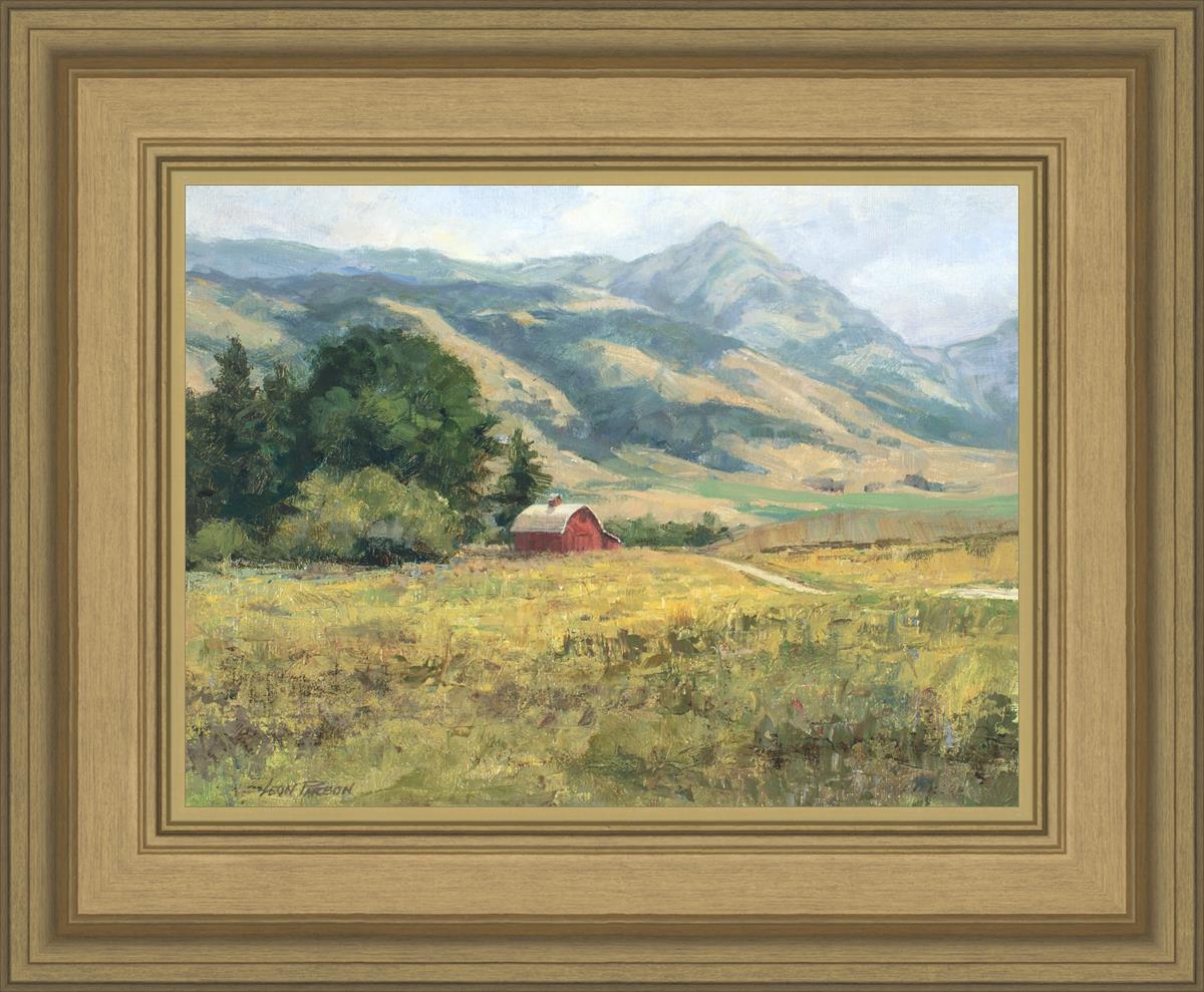 Red Barn in The Wilderness