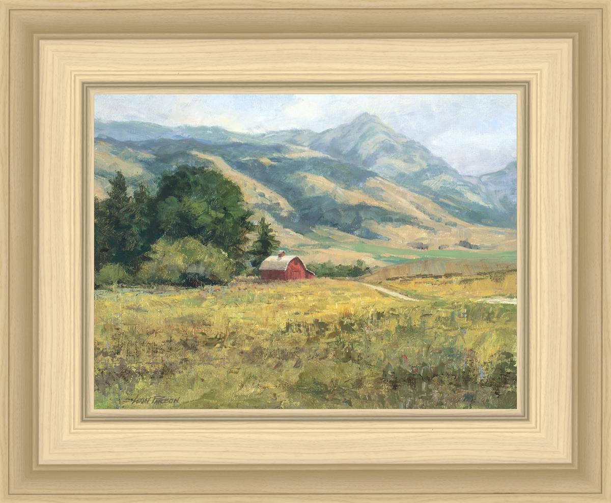 Red Barn in The Wilderness